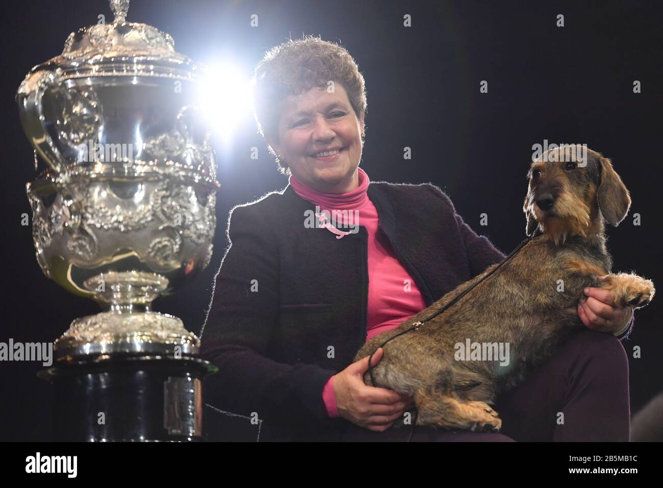 Maisie, la gagnante de Best in Show 2020 de Dachshund À poil Métallique au Birmingham National avec sa propriétaire Kim McCalmont au Exhibition Center (NEC) lors du Crufts Dog Show. Banque D'Images