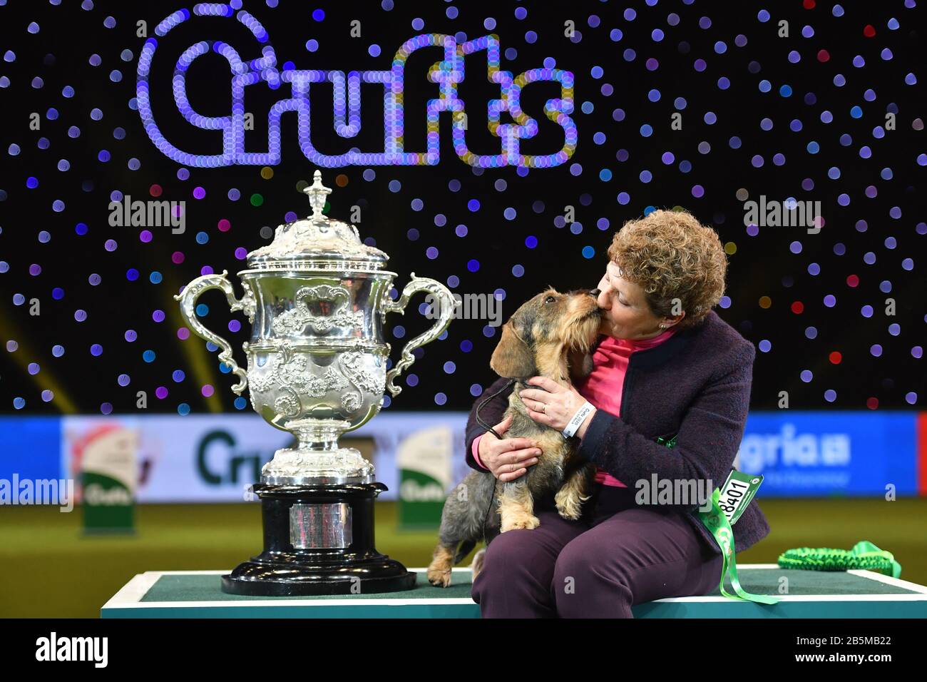 Maisie, la gagnante de Best in Show 2020 de Dachshund À poil Métallique au Birmingham National avec sa propriétaire Kim McCalmont au Exhibition Center (NEC) lors du Crufts Dog Show. Banque D'Images