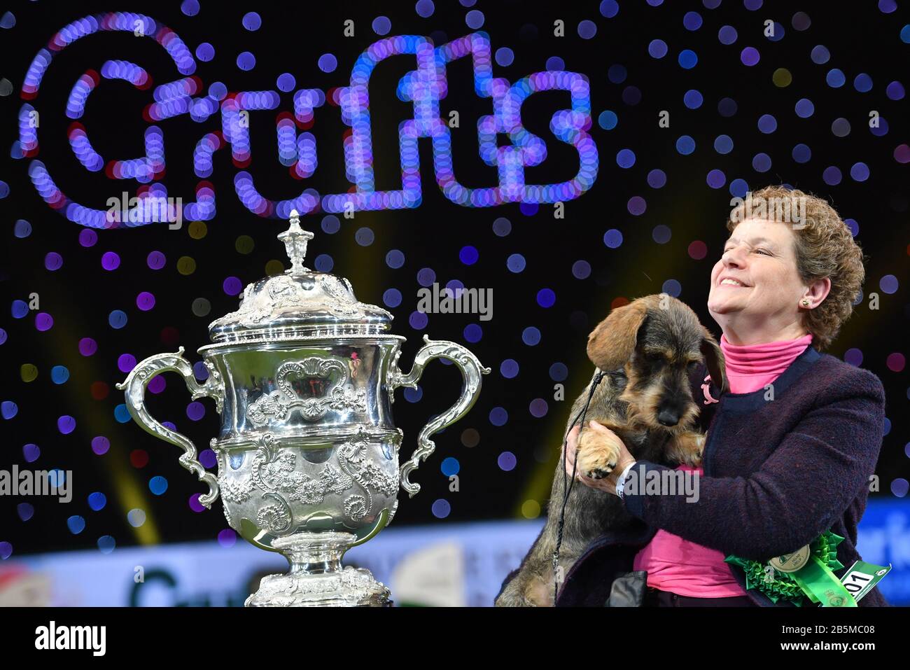 Maisie, la gagnante de Best in Show 2020 de Dachshund À poil Métallique au Birmingham National avec sa propriétaire Kim McCalmont au Exhibition Center (NEC) lors du Crufts Dog Show. Banque D'Images