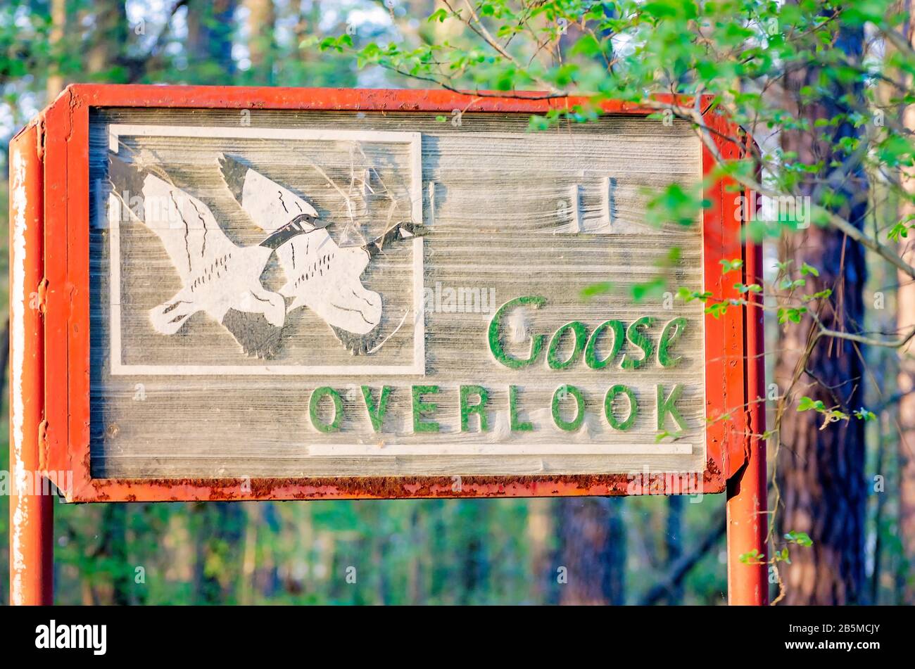 Le panneau Goose Overlook est illustré à la réserve naturelle Sam D. Hamilton Noxubee, le 12 mars 2012, à Brooksville, dans le Mississippi. Banque D'Images