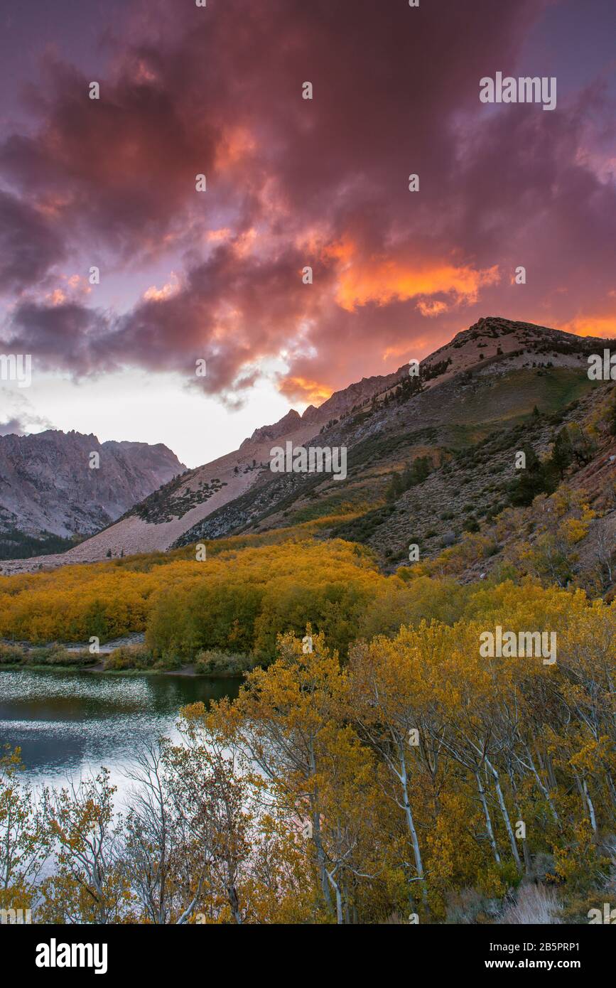 Sunset, Aspen, North Lake, Bishop Creek National Recreation Area, Inyo National Forest, Eastern Sierra, Californie Banque D'Images