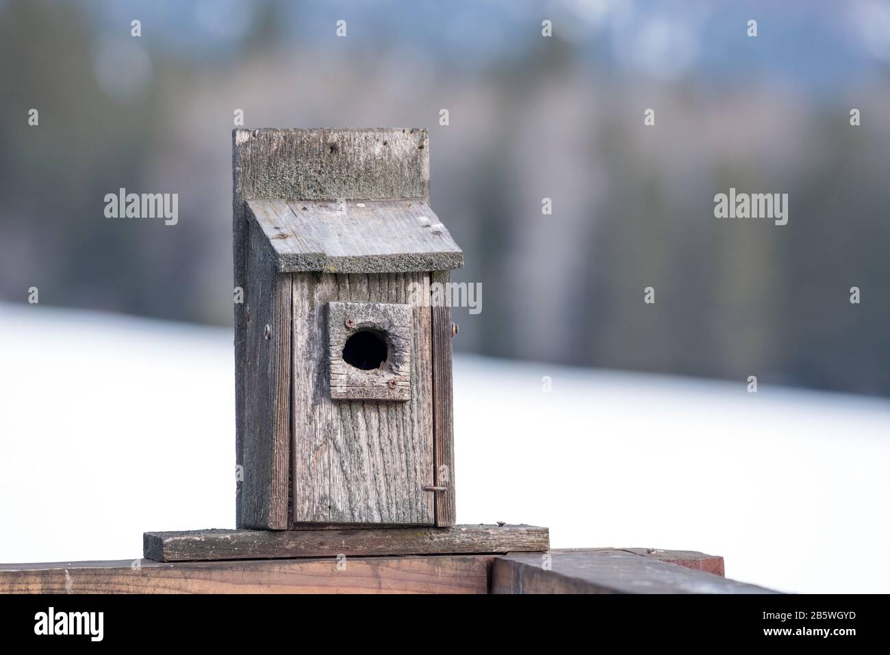Boîte à oiseaux sur le pont d'une maison au pied des montagnes Elkhorn, Oregon. Banque D'Images