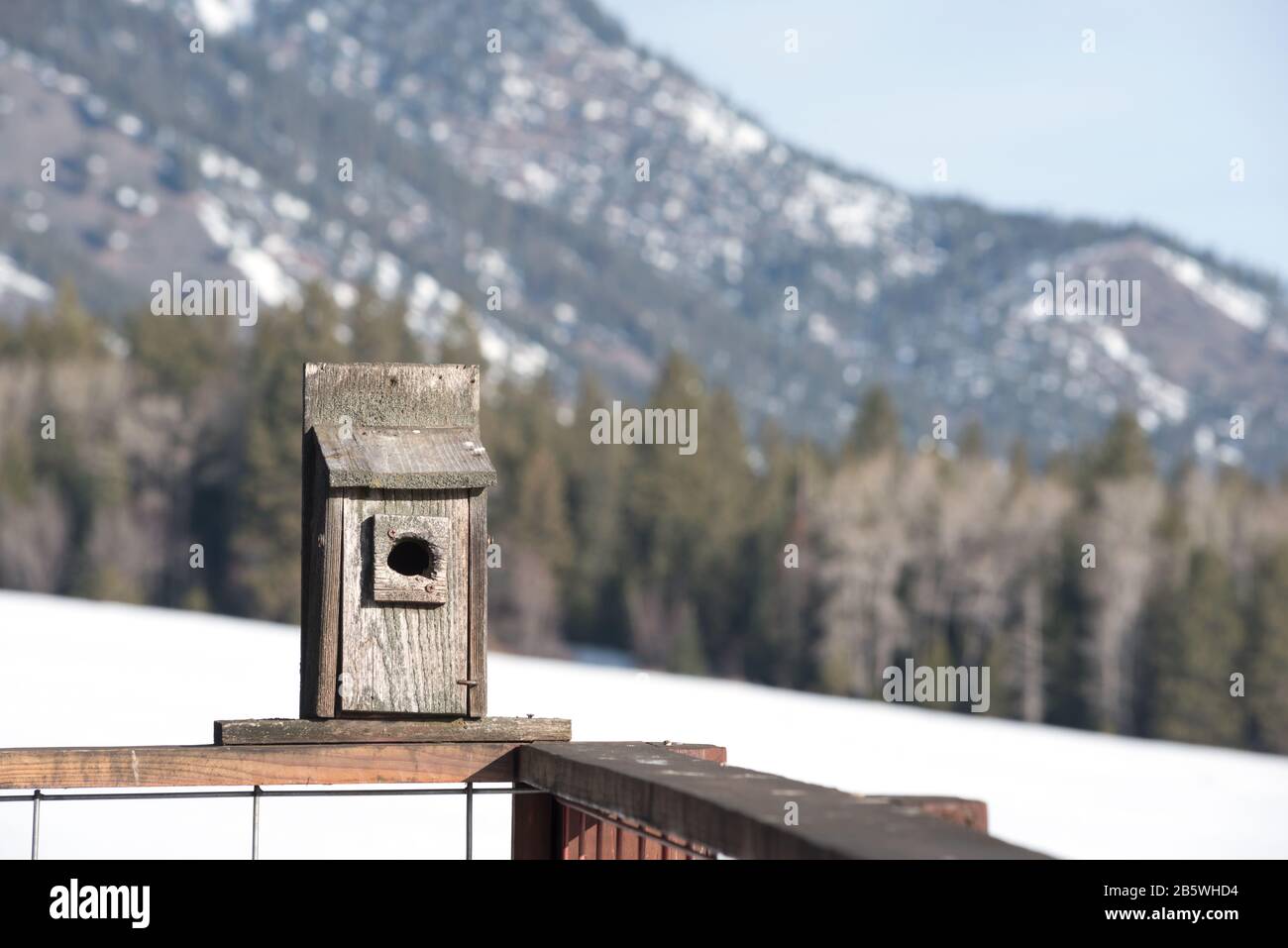 Boîte à oiseaux sur le pont d'une maison au pied des montagnes Elkhorn, Oregon. Banque D'Images