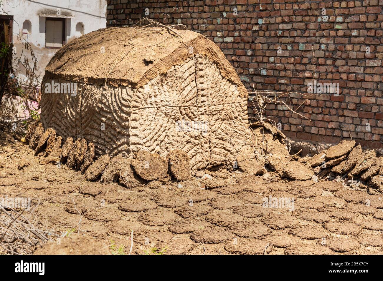 Petite cabane qui est construite pour stocker la vache ou le bisons qui sera utilisé plus tard comme combustible de cuisson traditionnel sur les foyers. Nandgaon. Inde Banque D'Images