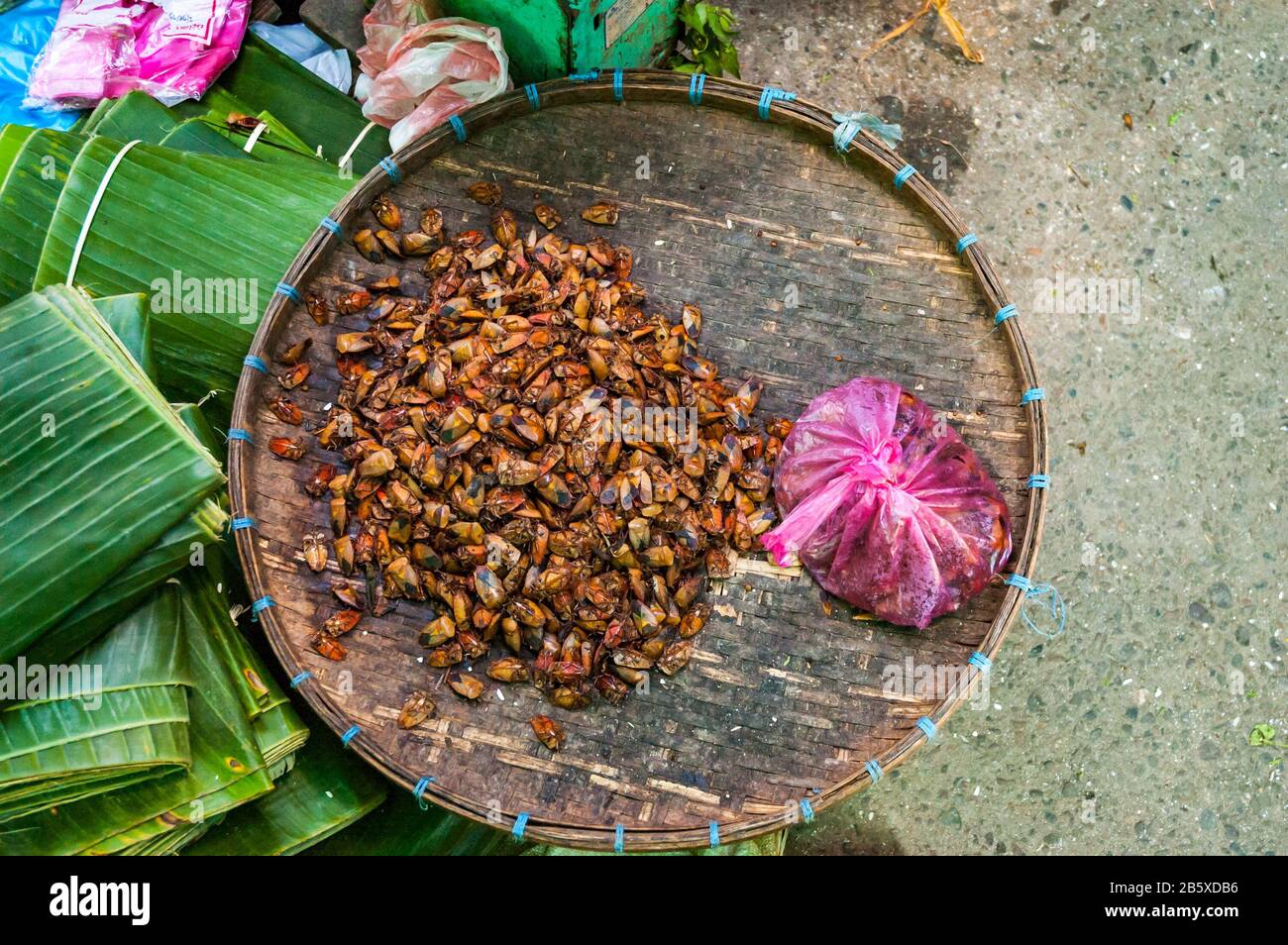 Stink bugs en vente au marché Phosy à Luang Prabang. Banque D'Images