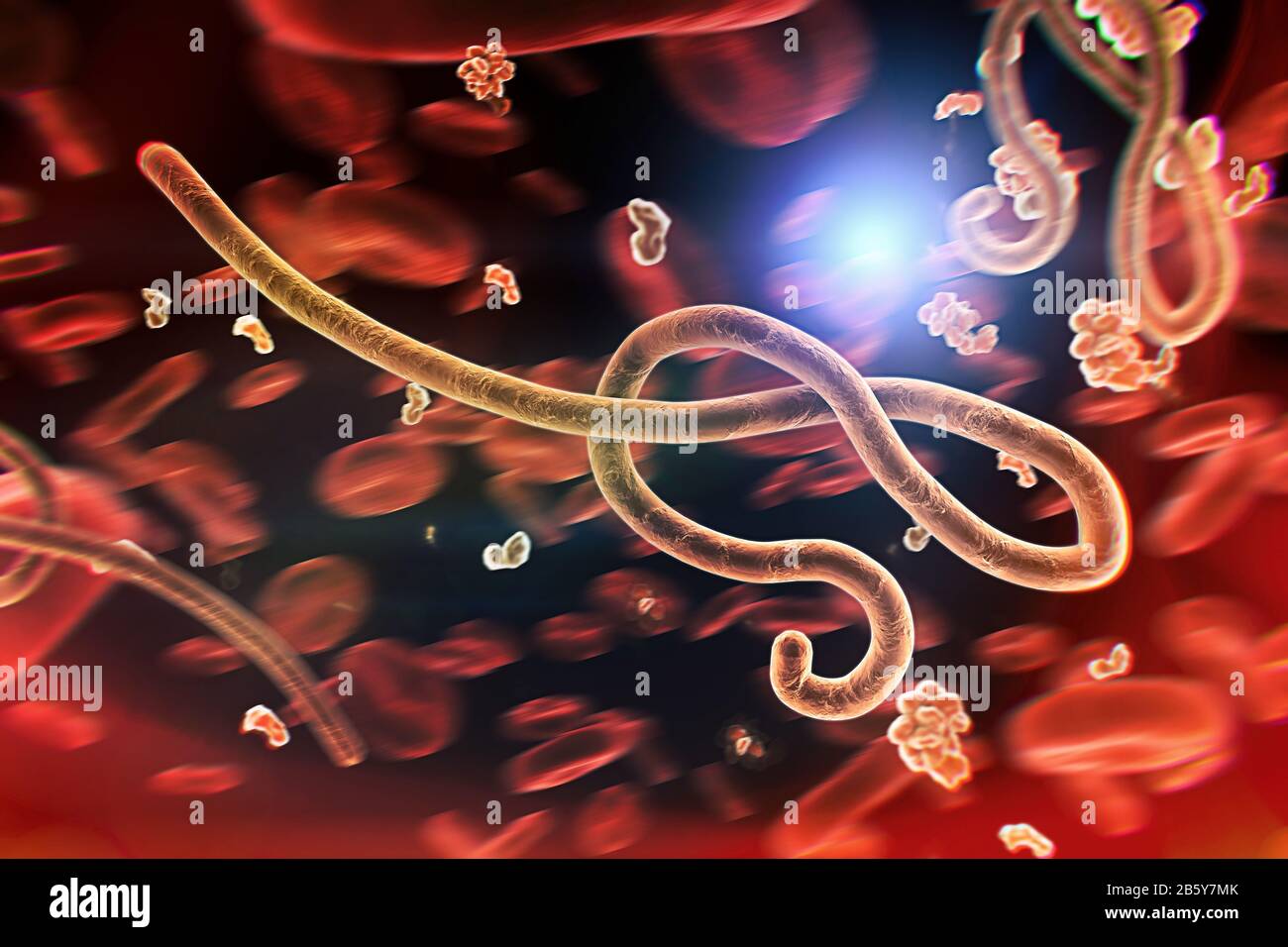 Vue microscopique du virus ebola Banque D'Images