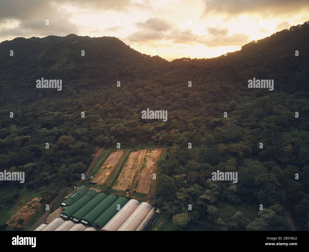 Hangars de la ferme de cacao sur la pente de montagne vue aérienne drone Banque D'Images
