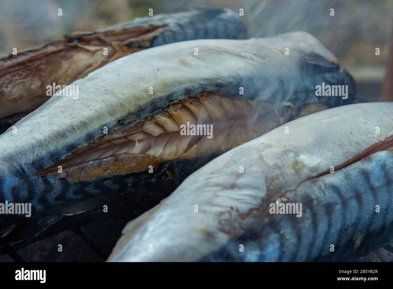 Poissons (mackerels) sur le gril dans le jardin. Petite fête barbecue dans le jardin. Banque D'Images Poissons (mackerels) sur le gril dans le jardin. Petite fête barbecue dans le jardin. Banque D'Images