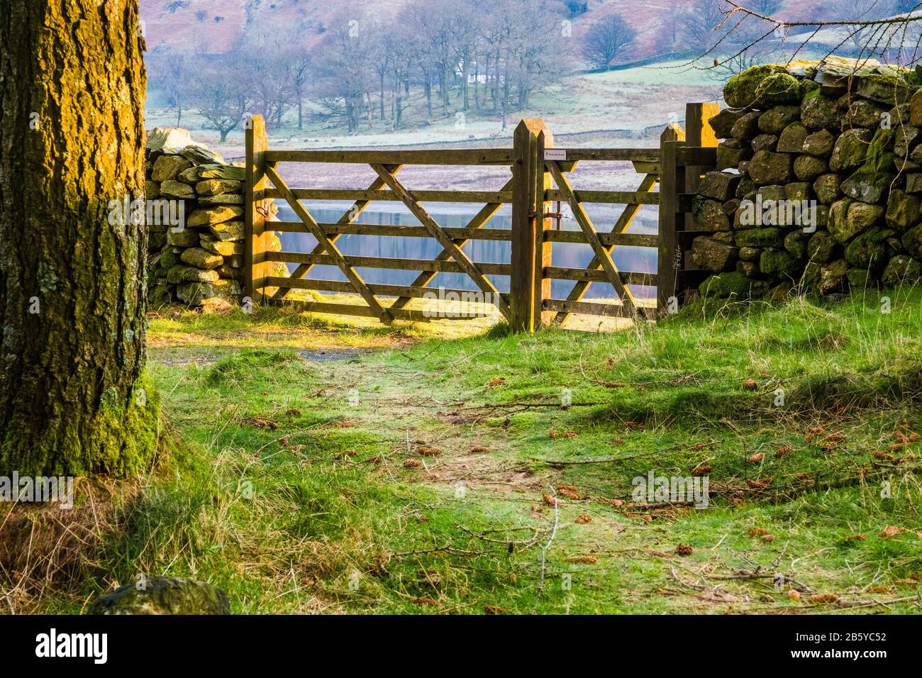 Porte sur un sentier de Lake District, parc national du Lake District, Cumbria Banque D'Images