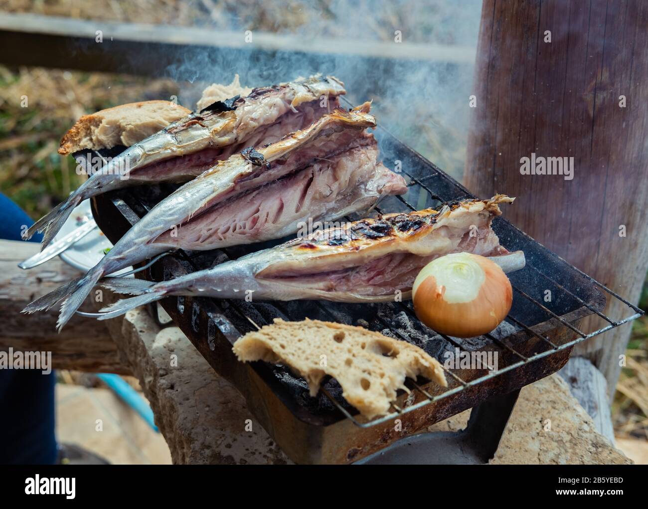 Poissons (mackerels) sur le gril dans le jardin. Petite fête barbecue dans le jardin. Banque D'Images Poissons (mackerels) sur le gril dans le jardin. Petite fête barbecue dans le jardin. Banque D'Images