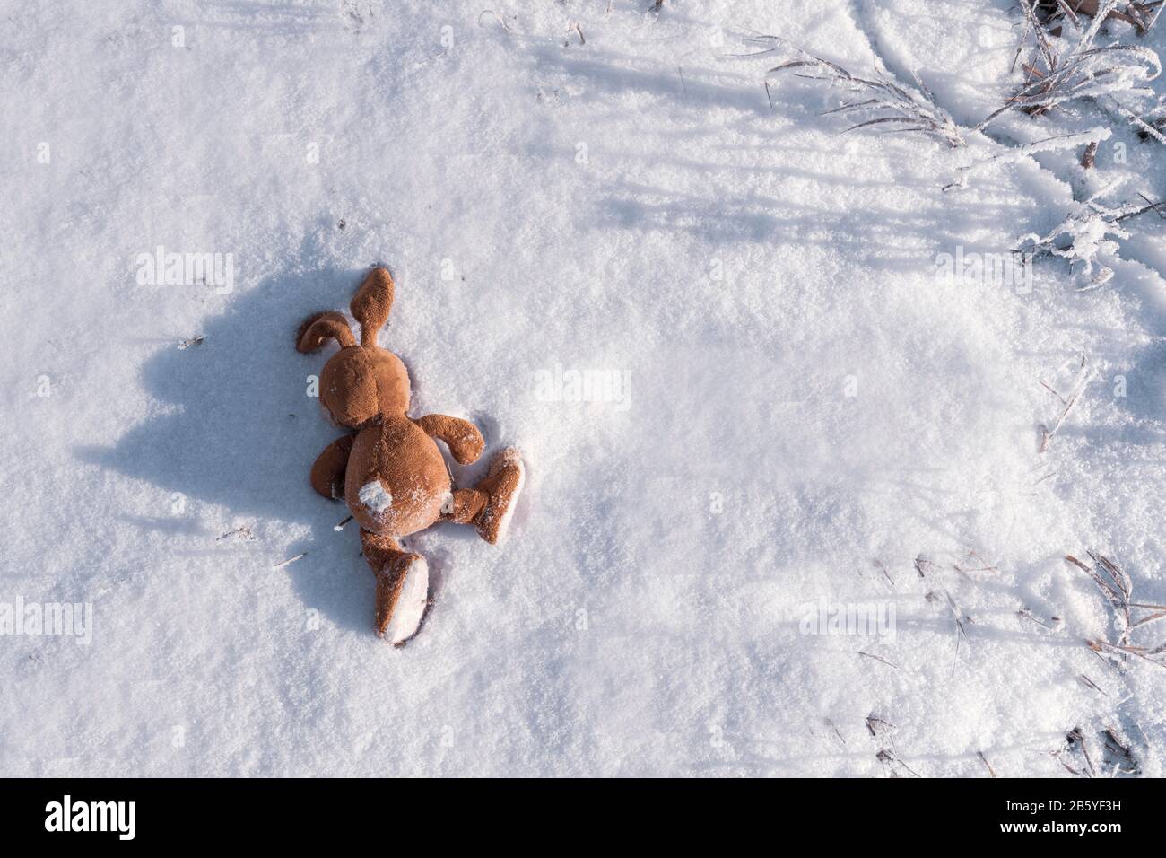 Un jouet de lapin ivy abandonné ou perdu se trouve sur la neige. Copyspace. Les enfants perdent et jettent des jouets. Allégorie, séparation, solitude et mort. Émotions. C Banque D'Images
