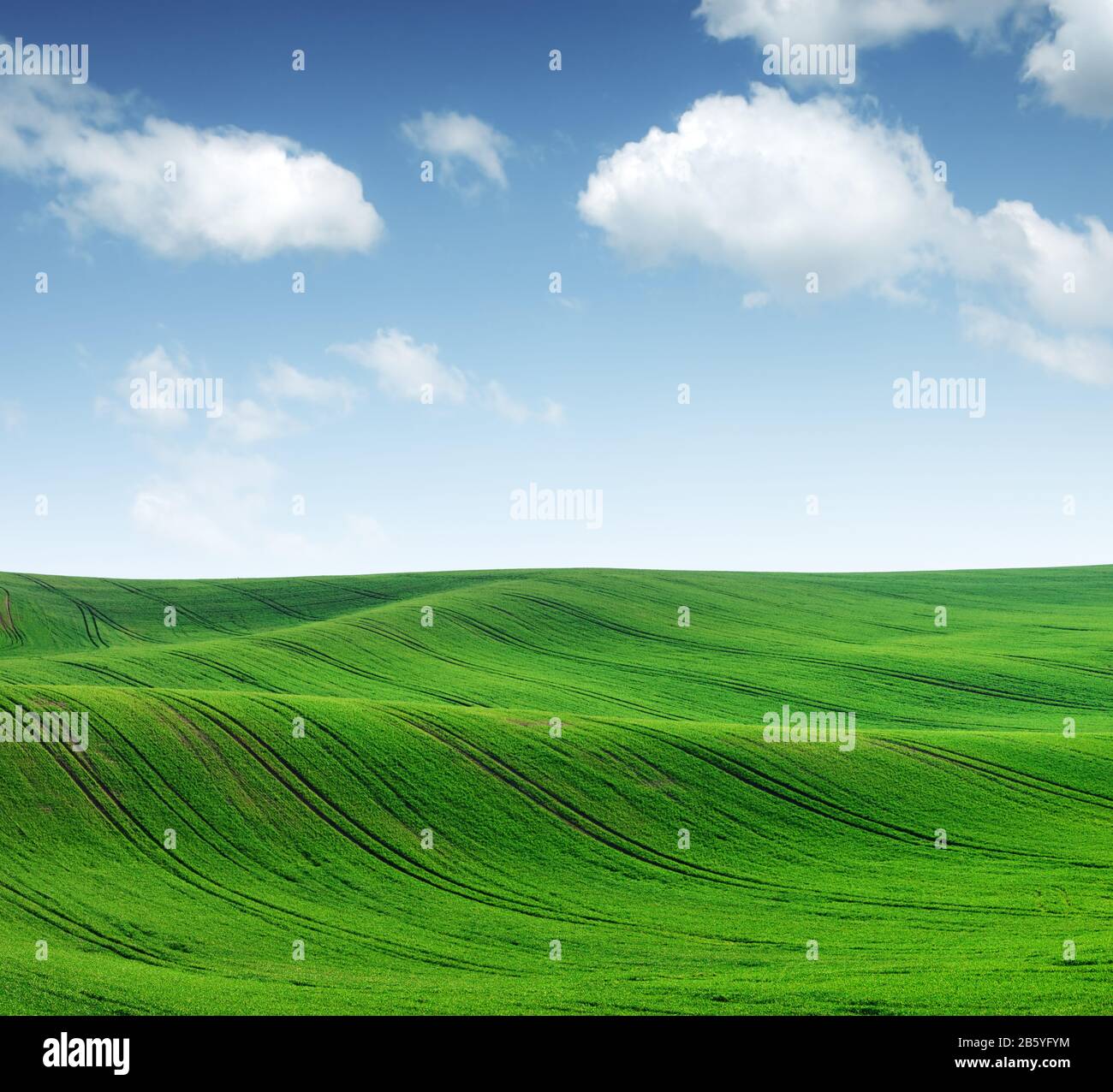 Paysage rural abstrait avec champs agricoles et ciel bleu. Région De La Moravie Du Sud, République Tchèque Banque D'Images