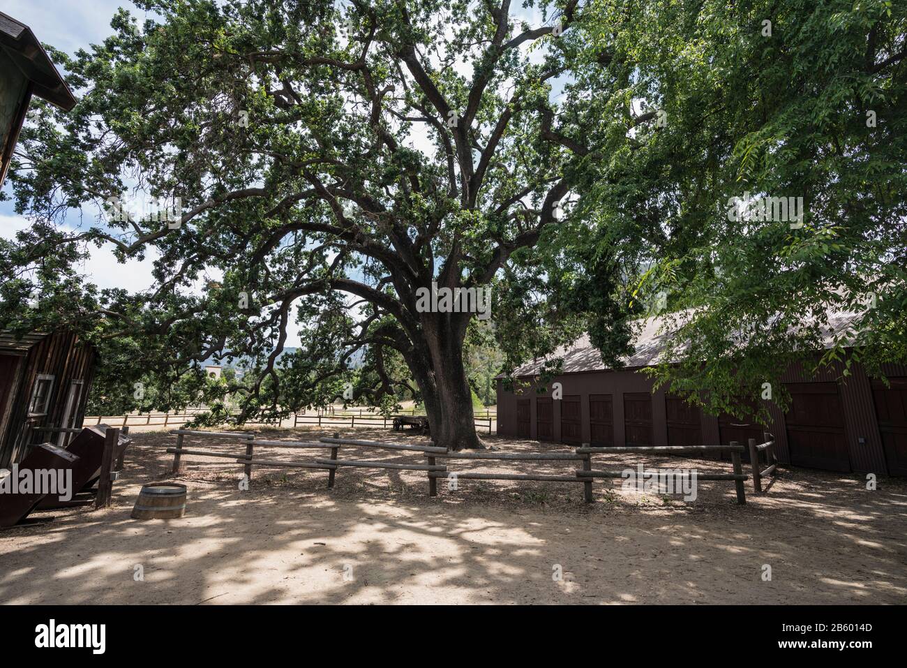 Célèbre chêne connu sous le nom de Witness Tree au parc national des États-Unis Santa Monica Mountains Paramount Ranch Property. L'arbre historique et le Western b Banque D'Images