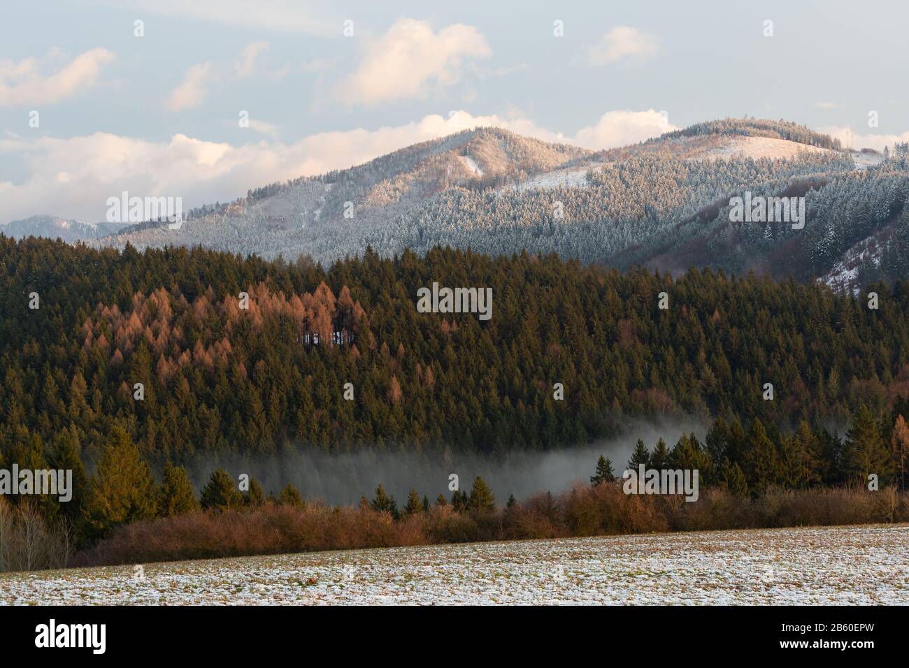 Paysage rural d'hiver de la région de Turiec, Slovaquie. Banque D'Images