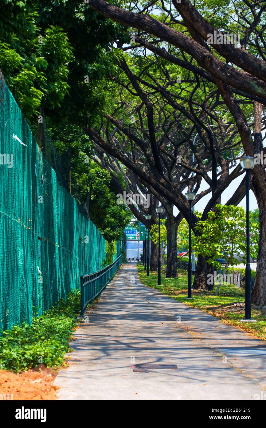 Scène de rue vide sous le soleil chaud, Singapour. Banque D'Images