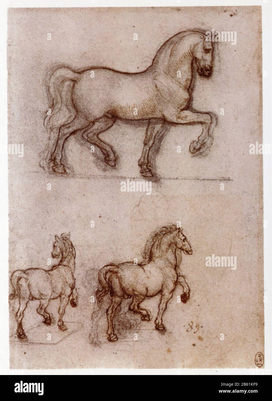 Léonard de Vinci. Trois études de chevaux. 1510 Banque D'Images