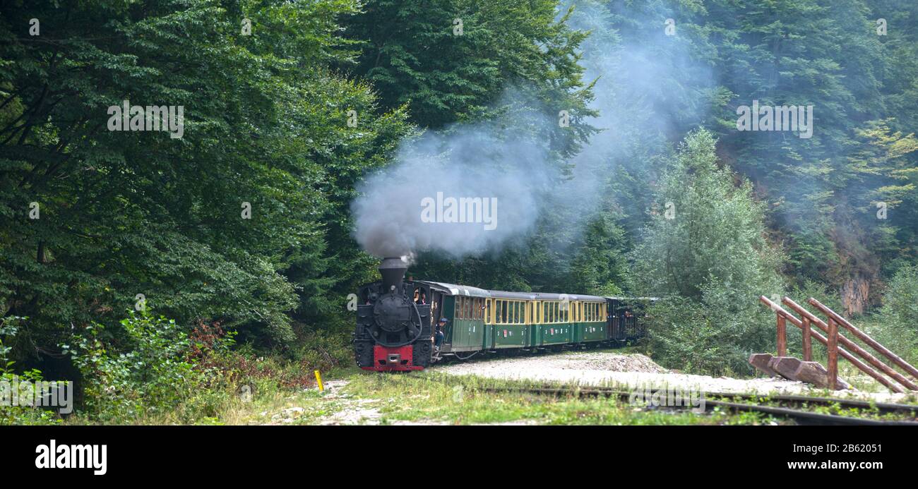 Locomotive à bois de Mocanita (Maramures, Roumanie). Le vieux train est situé sur fond de forêt verte. Banque D'Images