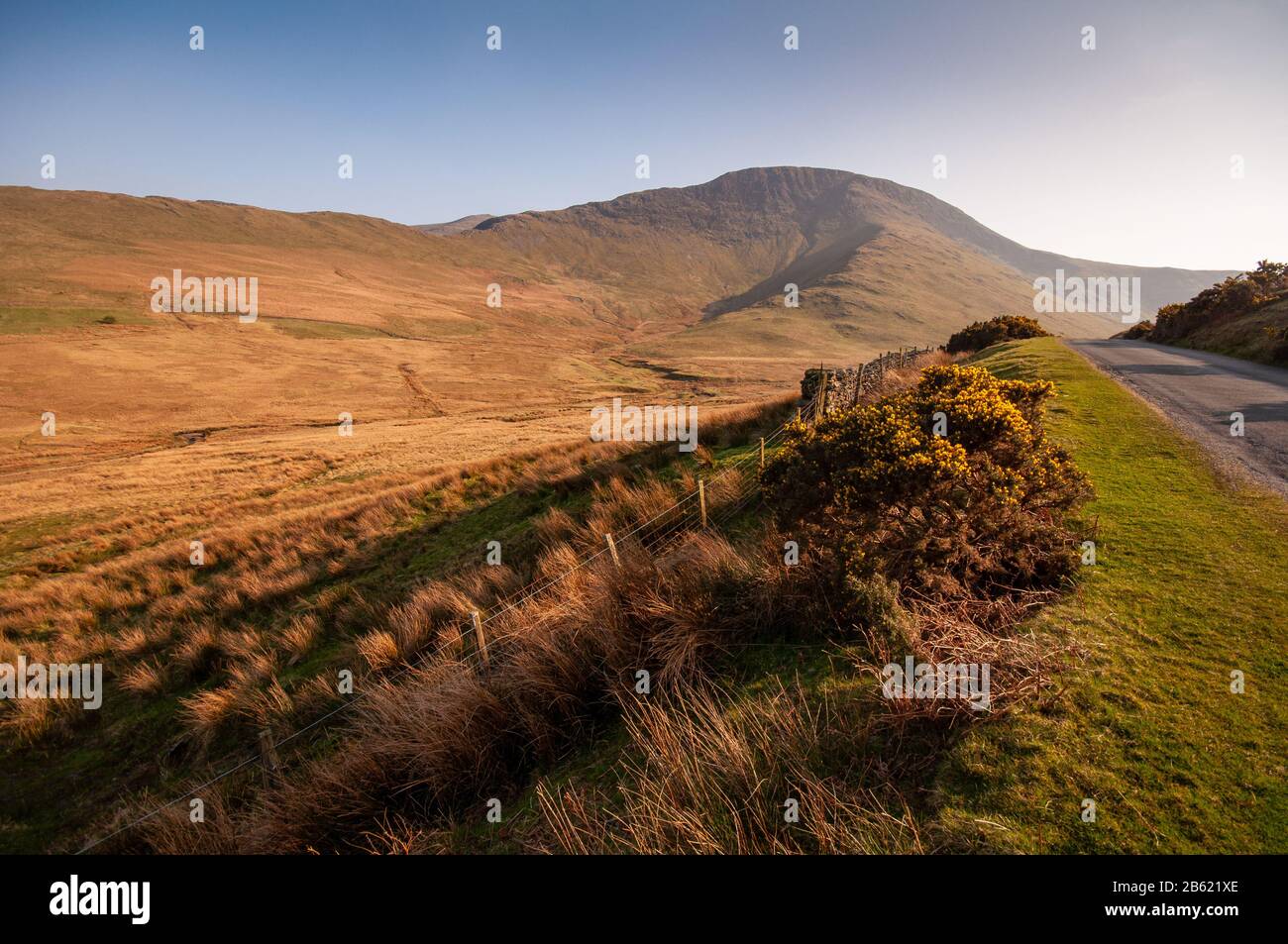 La montagne Robinson, l'une des collines de Derwent, s'élève de la terre de la vallée des Newlands dans le Lake District d'Angleterre. Banque D'Images