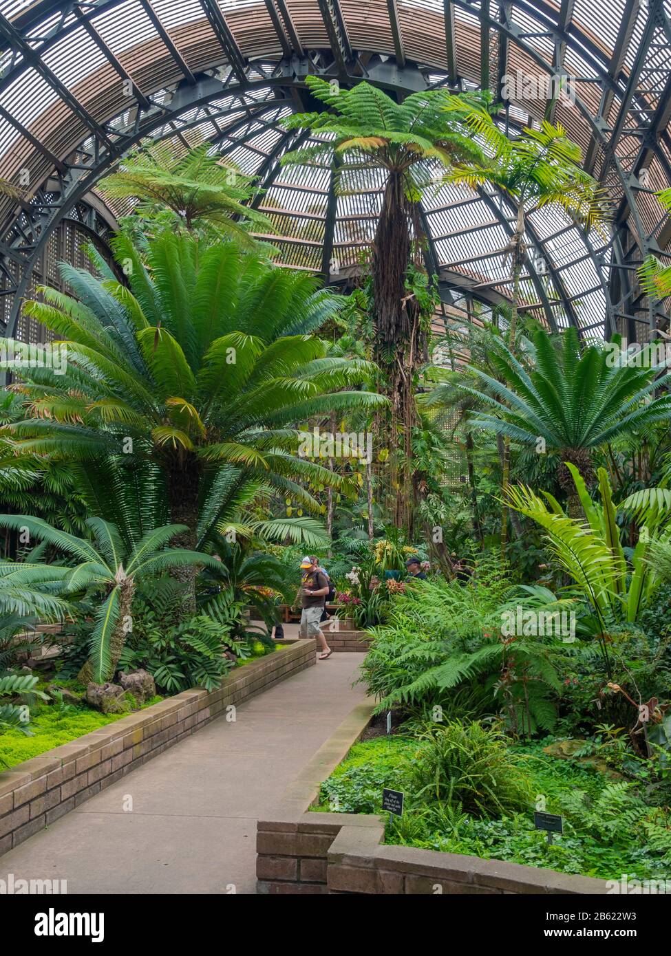 Le bâtiment botanique, Balboa Park, San Diego, Californie, États-Unis. Construit pour 1915-16 exposition Panama-Californie. plus de 2 100 fougères, orchidées, trompicals. Banque D'Images