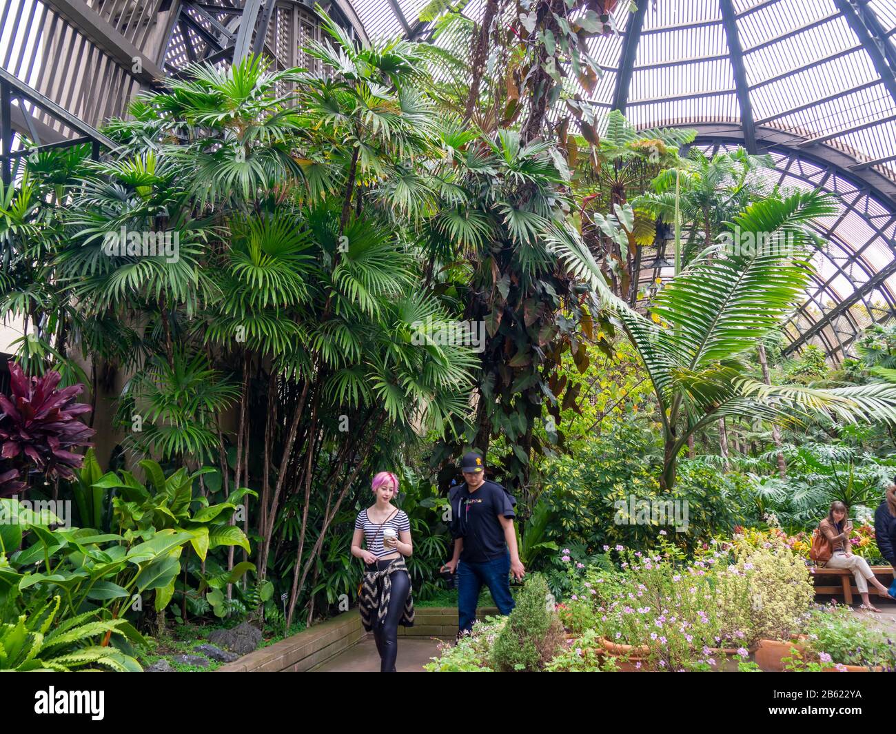 Le bâtiment botanique, Balboa Park, San Diego, Californie, États-Unis. Construit pour 1915-16 exposition Panama-Californie. plus de 2 100 fougères, orchidées, trompicals. Banque D'Images
