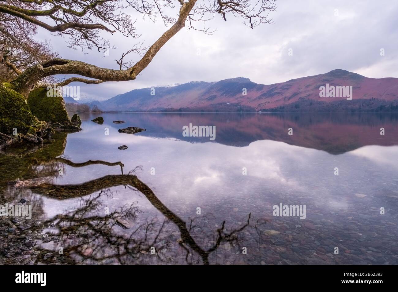 Derwent Water, Borrowdale en soirée calme, Lake District National Park, Cumbria, Royaume-Uni Banque D'Images