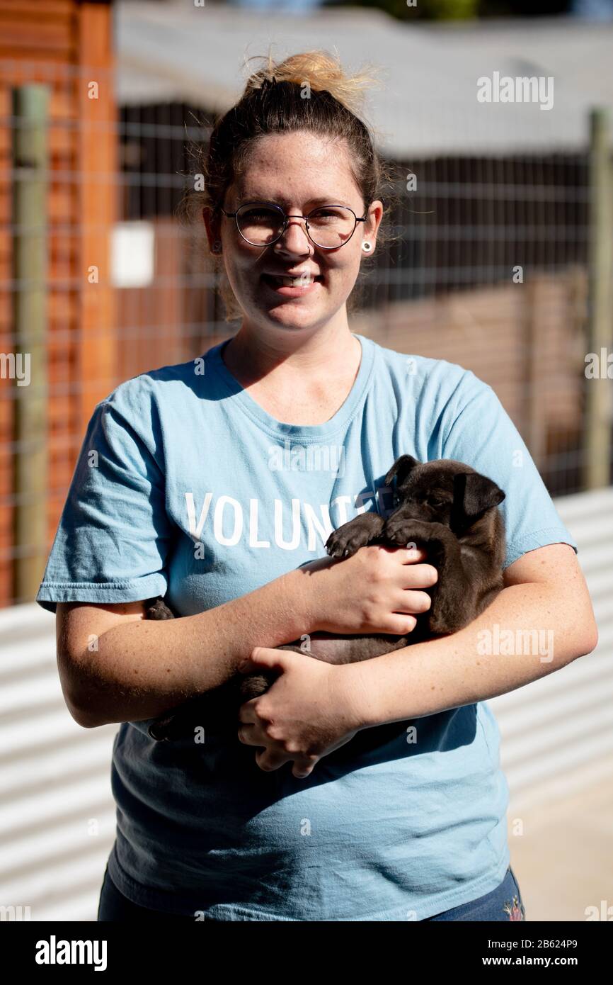 Femme avec un petit chien dans ses bras dans un abri pour chien Banque D'Images