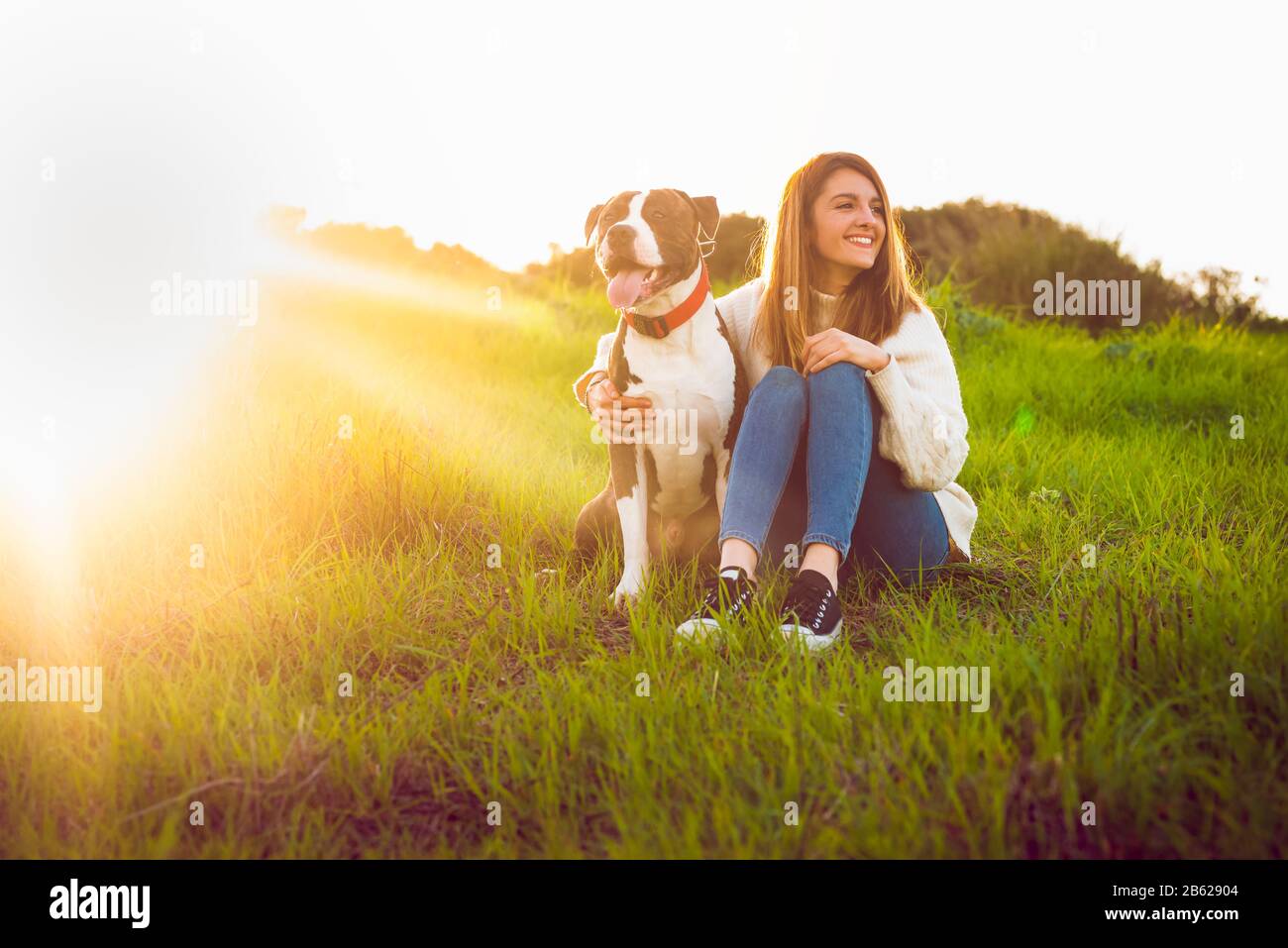 Jeune femme assise avec un terrier américain du Staffordshire Banque D'Images