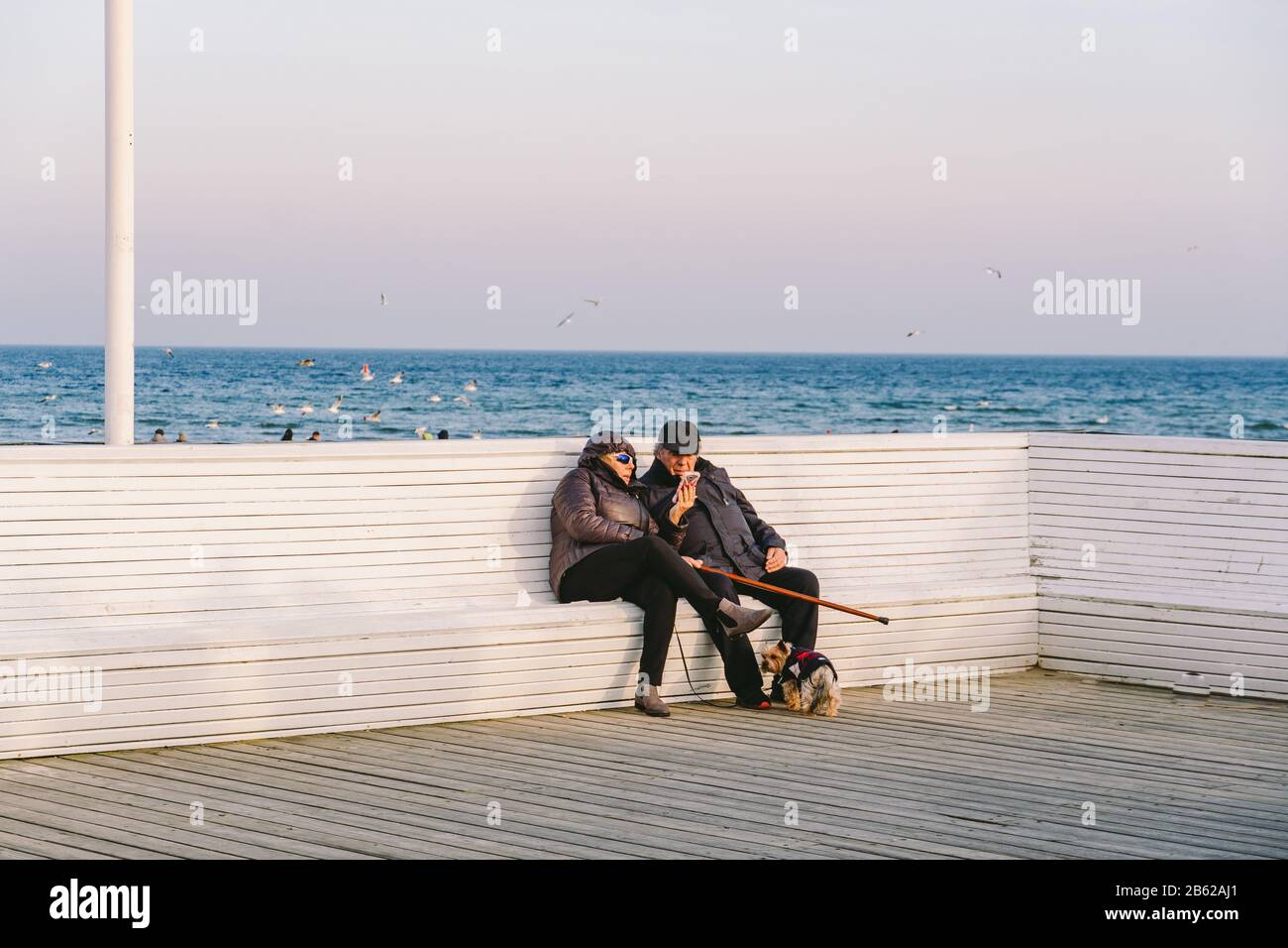 Pologne Sopot 9 Fevrier Couple Senior Assis Sur Banc Homme Age Et Femme Sur Place Pres De La Mer L Amour Est Tout L Amour De Concept D Age De Retraite Photo Stock