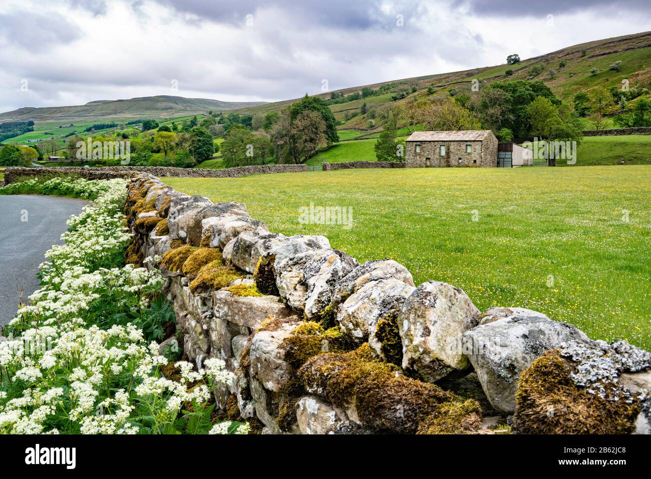 Mur de pierre sèche du Yorkshire avec fleurs sauvages en bordure de route bordant un pré de foin contenant une grange traditionnelle de champ de pierre Banque D'Images
