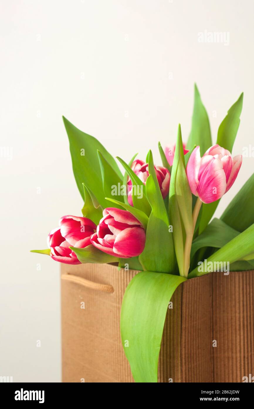 bouquet de tulipes roses, fête des mères, fête des valentines, printemps. Banque D'Images