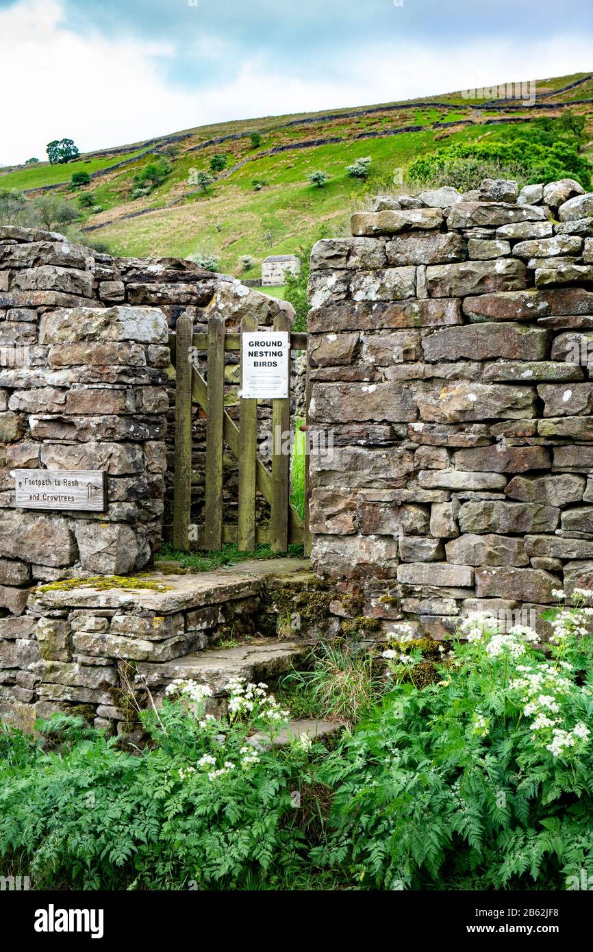 Marches en pierre menant à une pierre dans un mur de pierres sèches à Upper Swaledale, Yorkshire Dales National Park, Angleterre, Royaume-Uni Banque D'Images