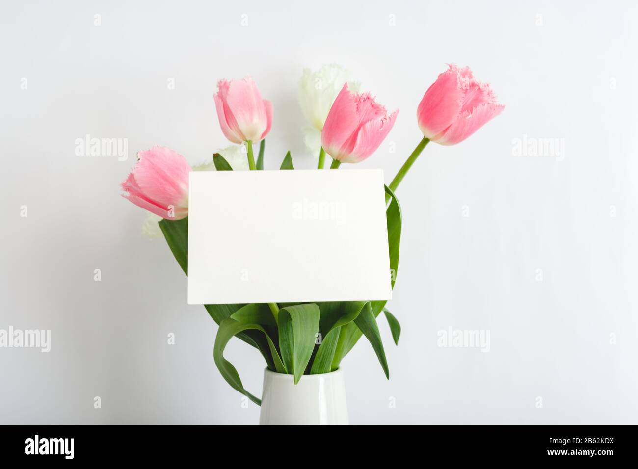 Fleurs maquette de félicitations. Carte de félicitations dans le bouquet de tulipes roses sur fond blanc. Carte blanche vierge avec espace pour le texte, maquette de cadre Banque D'Images