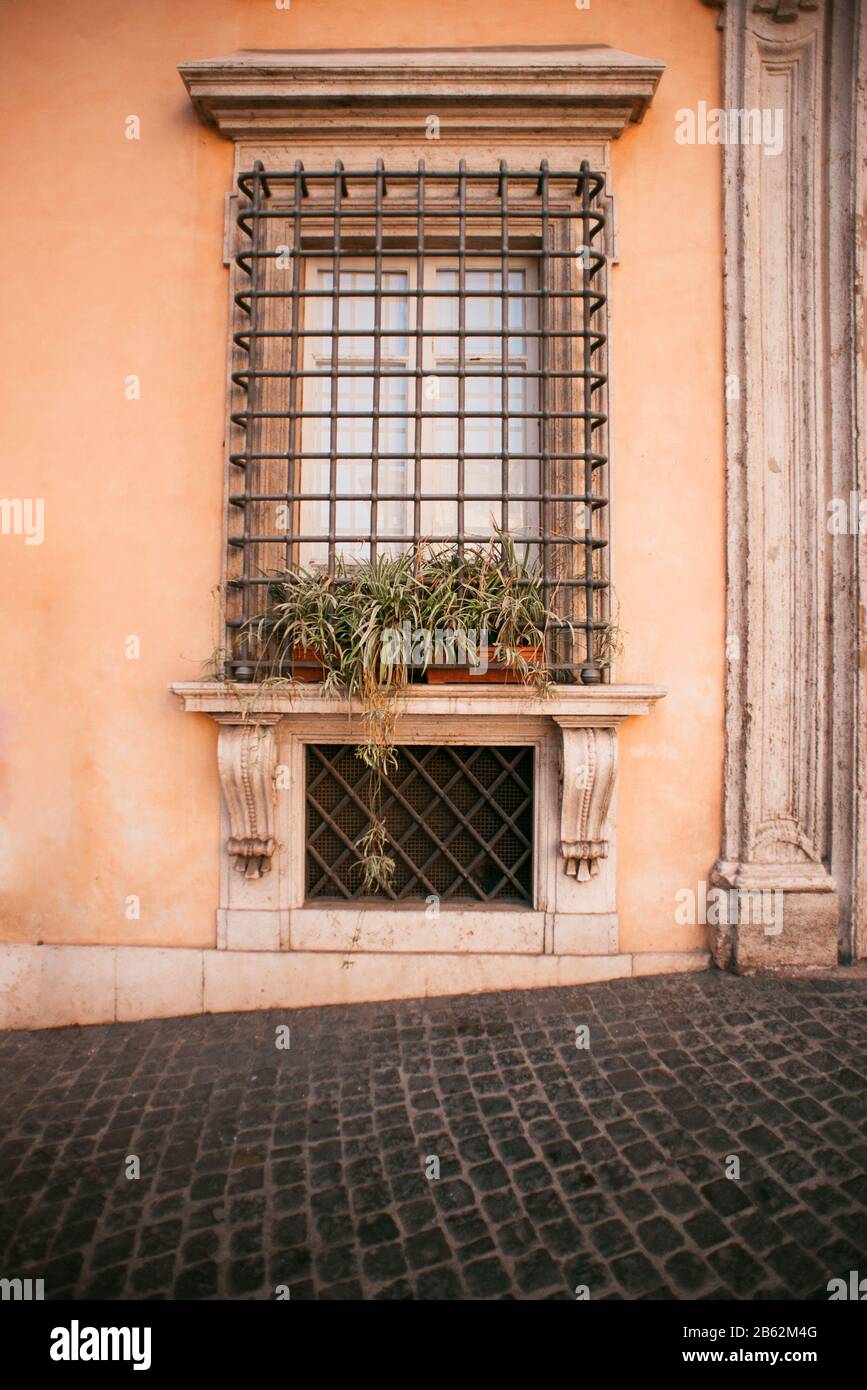 Vieille fenêtre à Rome Décorée de plantes dans Des Pots de fleurs. Italie. Banque D'Images