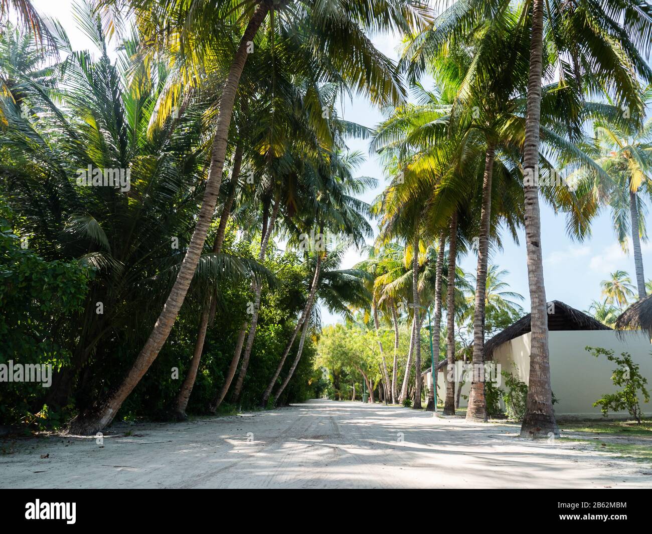 Chemin De Terre S'Étendant À Travers La Jungle Maldivienne. Maisons près de la route. Banque D'Images