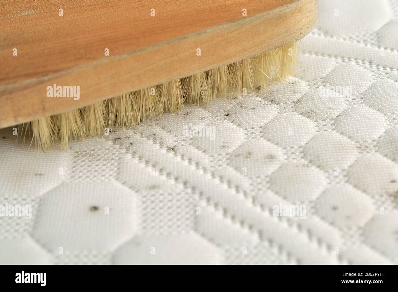 Nettoyage des taches de moisissure sur le matelas Photo Stock - Alamy
