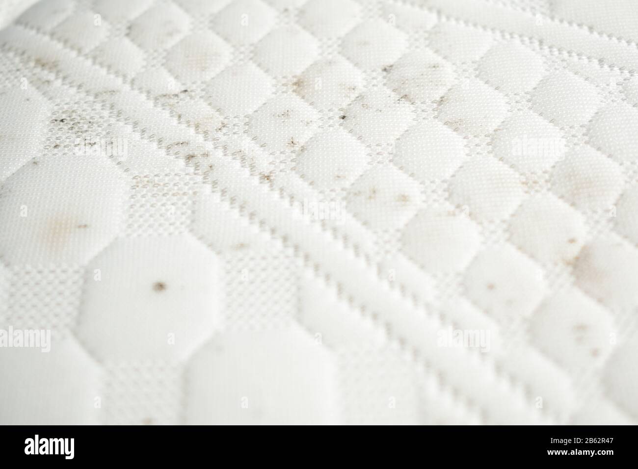 Moisissure sur un matelas. Taches de moisi sur un tissu blanc Photo Stock -  Alamy