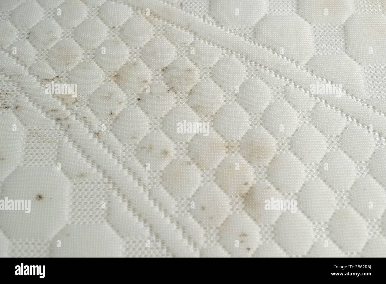 Moisissure sur un matelas. Taches noires sur un tissu blanc Photo Stock -  Alamy