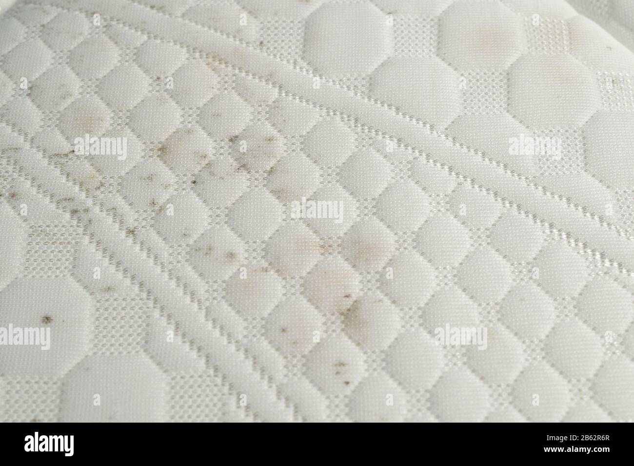 Moisissure sur un matelas. Taches noires sur un tissu blanc Photo Stock -  Alamy