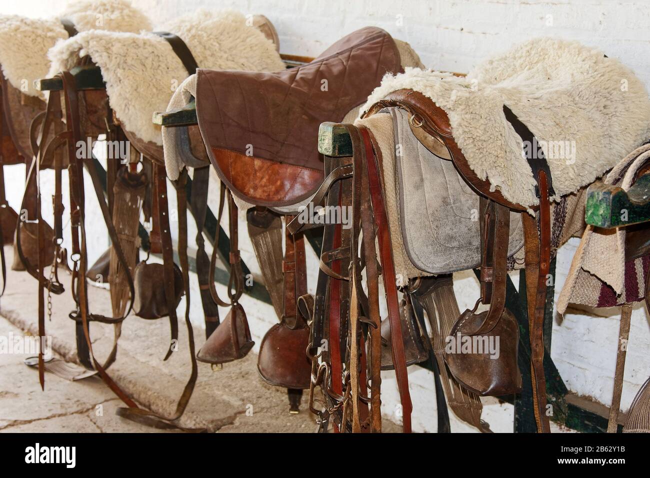 équipement d'équitation Banque de photographies et d'images à