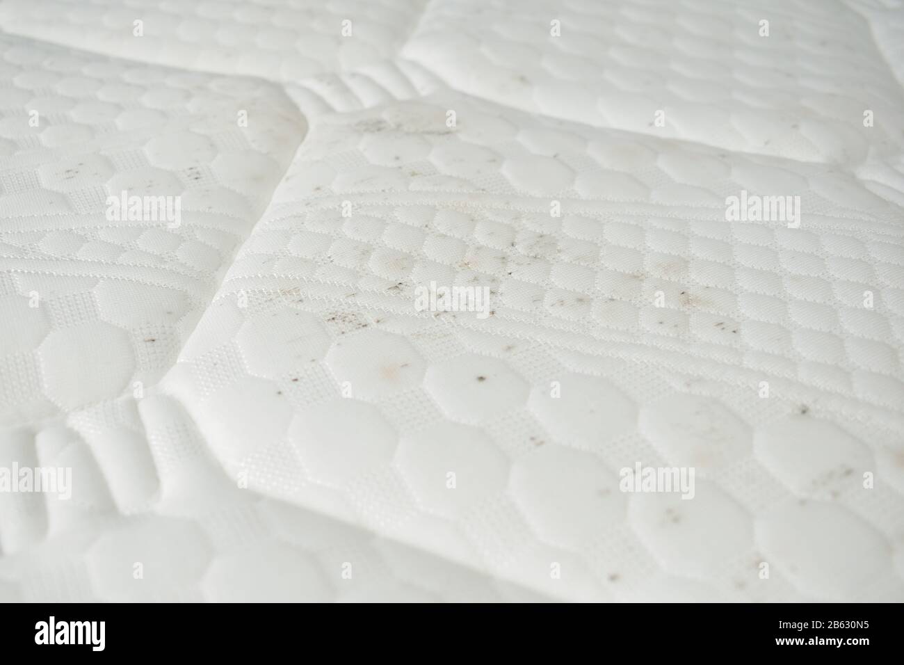 Moisissure et saleté sur un lit. Matelas avec taches de spores de moisissure  Photo Stock - Alamy