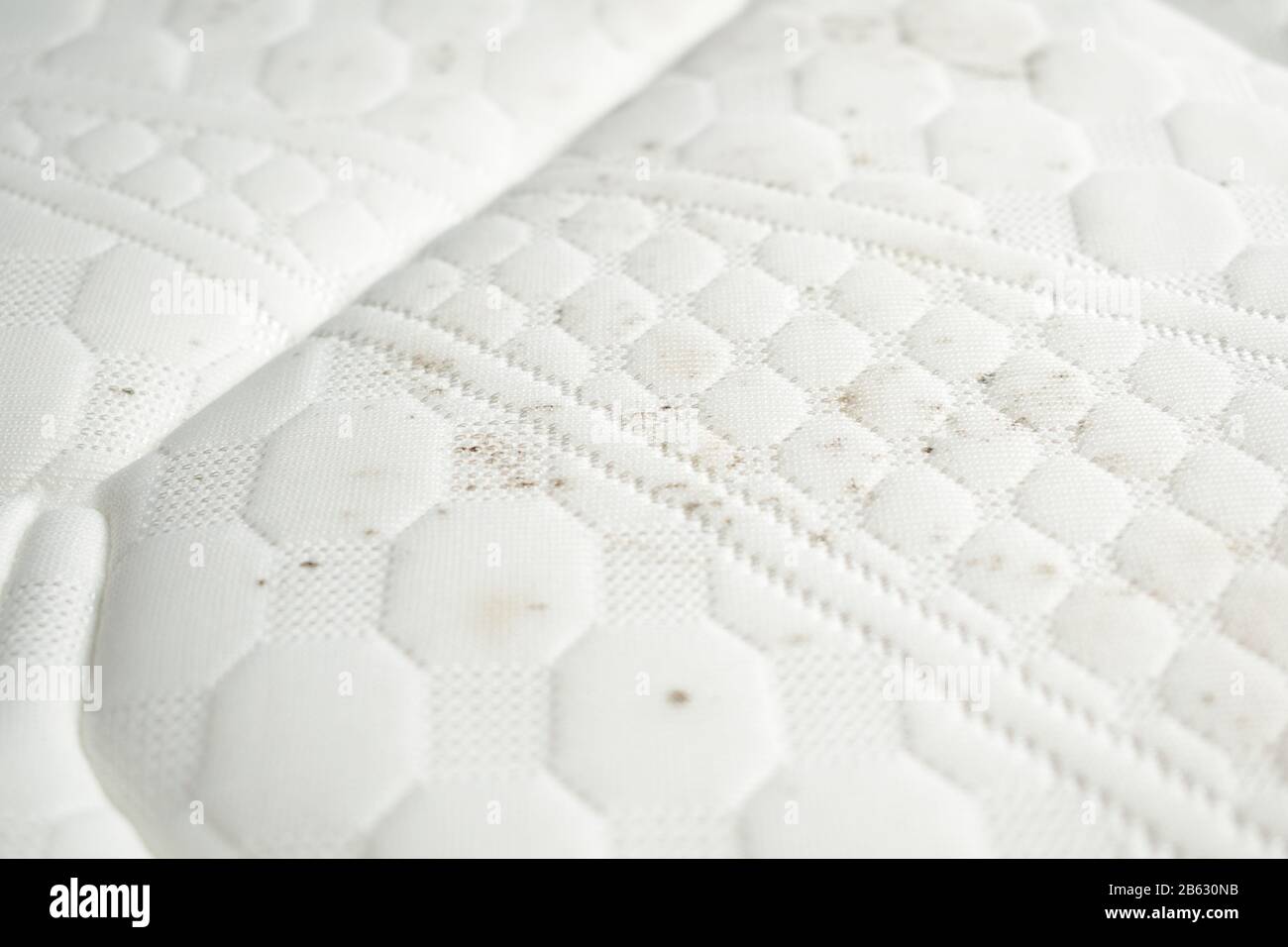 Moisissure sur un matelas. Taches de moisi sur un tissu blanc Photo Stock -  Alamy