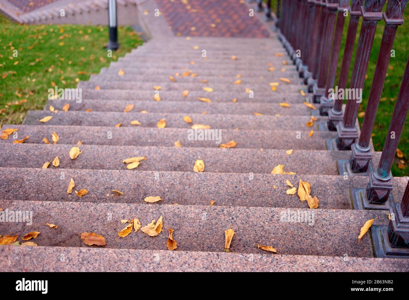 Escalier de granit avec feuilles automnales tombées. Banque D'Images