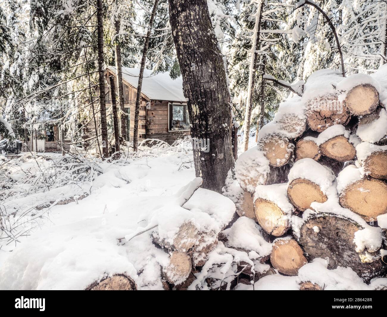 Chalet dans les bois en hiver, Canada Banque D'Images
