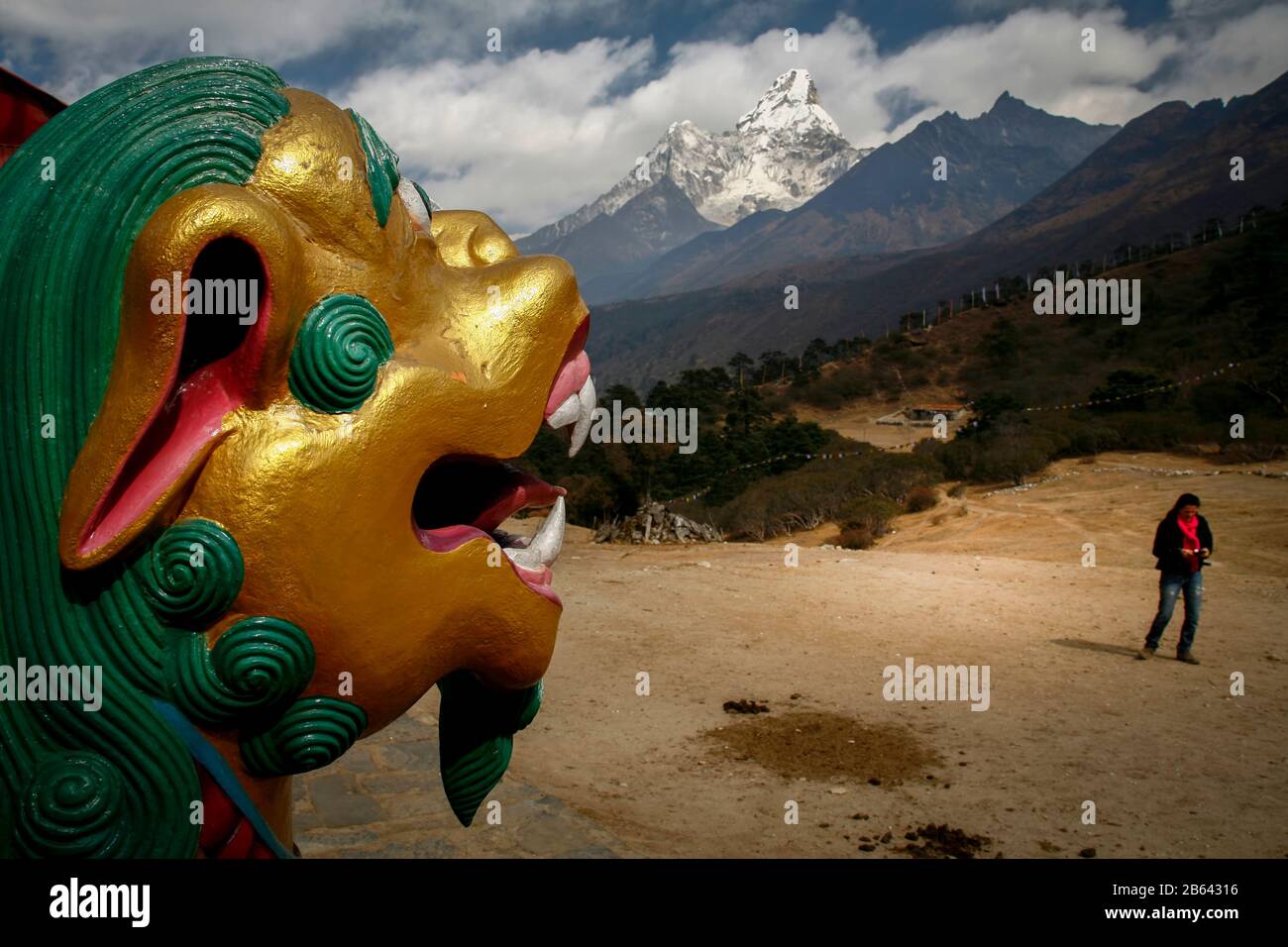 Lion d'or dans la région de l'Everest Banque D'Images Lion d'or dans la région de l'Everest Banque D'Images