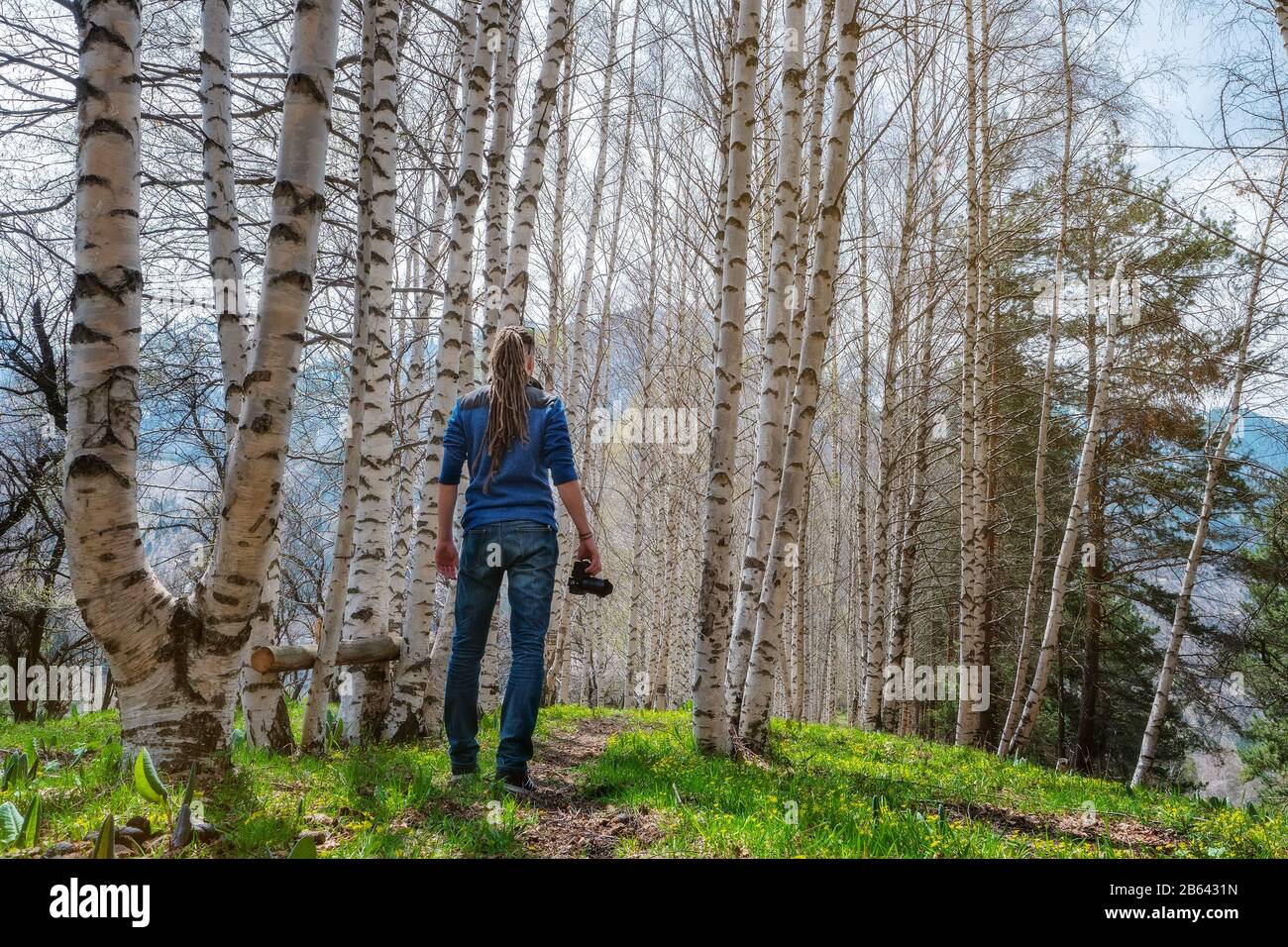 Un photographe de l'homme se tient sur la piste dans la forêt de bouleau de printemps. Le gars tient une caméra dans sa main. Vue de l'arrière. Herbe jeune fraîche et friche Banque D'Images