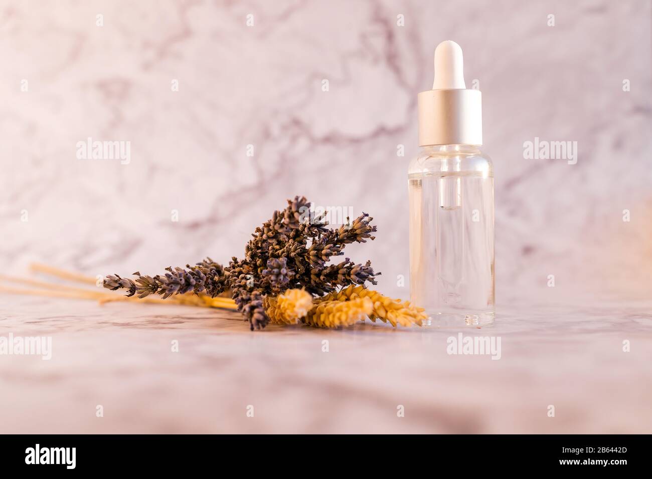 Le concept de cosmétiques biologiques. Bio, bio cosmétiques, huiles. Produits écologiques pour la beauté.cosmétiques naturels avec lavande .herbes séchées.Beauté Banque D'Images