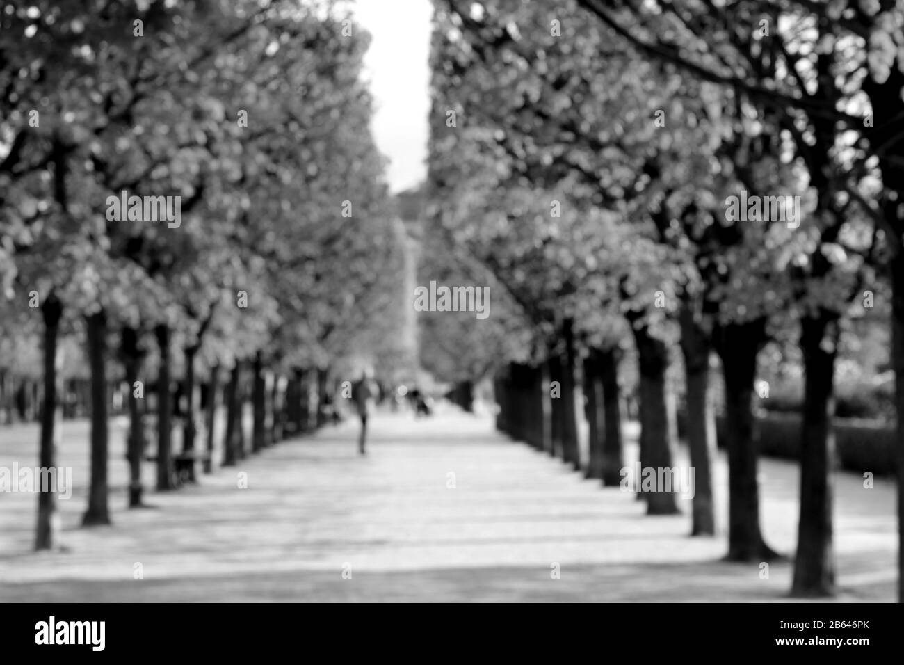 Résumé Flou Vue Sur La Ville De Paris Au Printemps. Les gens qui apprécient Springtime. Banque D'Images