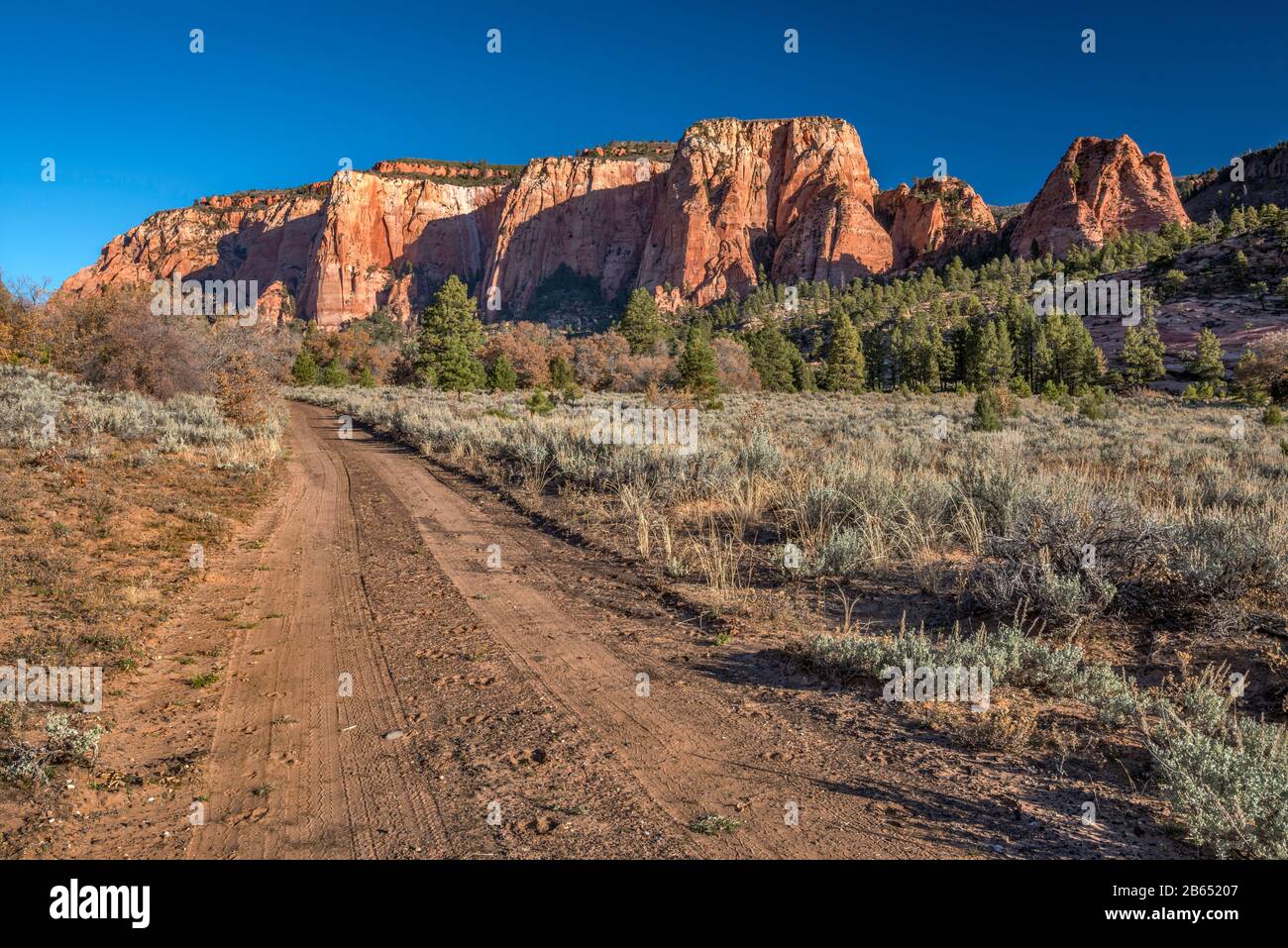 Piste de terre au massif de Jobs Head, plateau supérieur de Kolob, région de Kolob Terrace Road, parc national de Zion, Utah, États-Unis Banque D'Images
