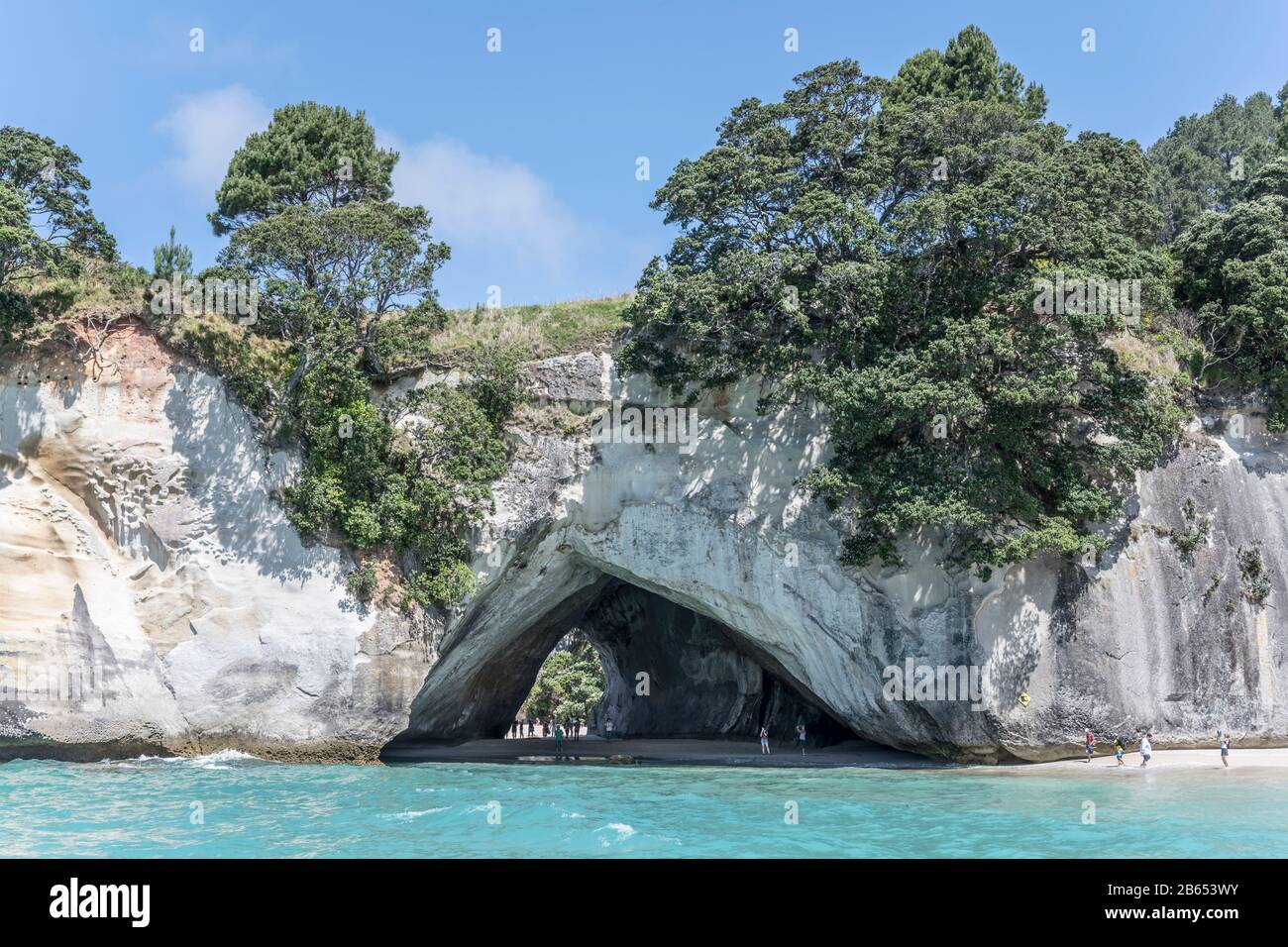 Mercury BAY, NOUVELLE-ZÉLANDE - Novembre 08 2019: Paysage avec les touristes visitant la célèbre cathédrale crique dans des falaises volcaniques blanches usées couvertes d'épais Banque D'Images