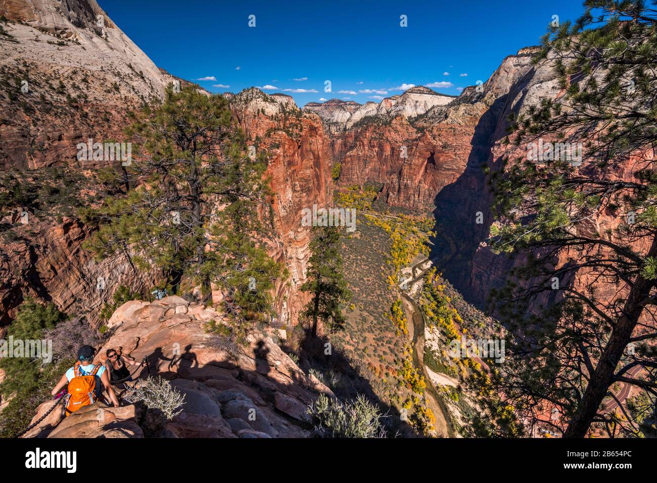 Angels Landing Trail, ascension finale, Zion Canyon ci-dessous, Zion National Park, Utah, États-Unis Banque D'Images